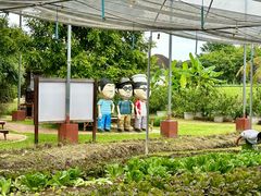 -Ohkajhu Organic Farm Sansai