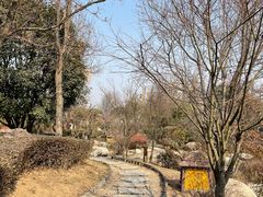 -诗经里