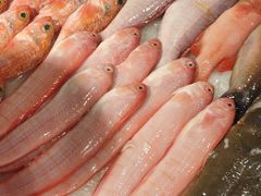 -潮人姐妹轩(海宁路店)