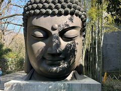 -杭州植物园
