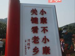 -亚龙湾国际玫瑰谷
