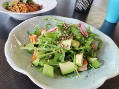 牛油果芝麻菜鸡肉沙拉-莫多多餐厅