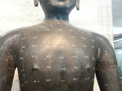 -北京中医药大学-中医药博物馆