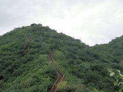 -大岭沟猕猴桃谷风景区
