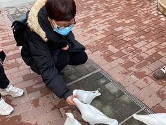 -王府井奥莱临潼小镇(临潼店)