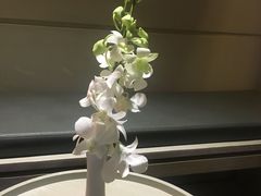 -西贡日航酒店