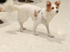 -CHARLIETOWN红茶公司(南京万象天地店)