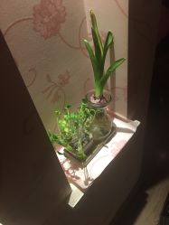 -本真坊美容美体沙龙