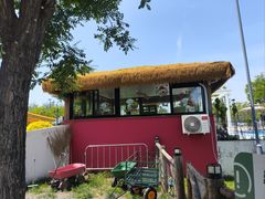 -爪吧宠物乐园 (温榆河示范区店)