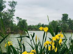 -白鹭湾湿地公园