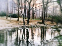 -济南森林公园