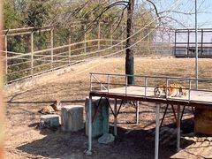 -宿豫区运河湾森林动物园