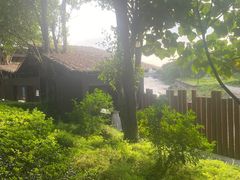 -福田红树林生态公园