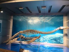 -自贡恐龙博物馆