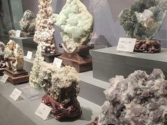 -湖南省地质博物馆