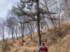 -灵山