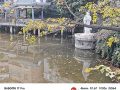 -长洲岛