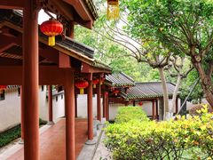 -广州神农草堂中医药博物馆