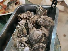 -张记旺角食街(动物园店)