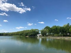 -大兴滨河森林公园