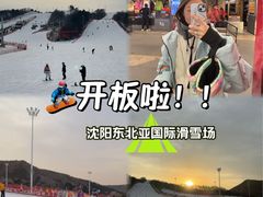 -东北亚滑雪场