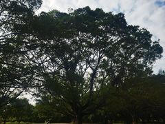 -南沙蒲洲花园