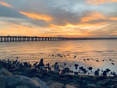 -宝安西湾红树林湿地公园