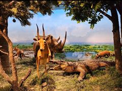 -国家自然博物馆