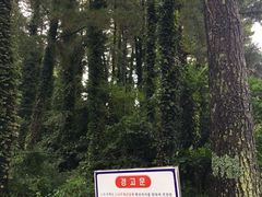 -汉拿树木园