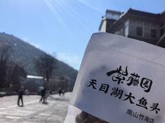 -紫藤园·天目湖大鱼头(南山竹海店)
