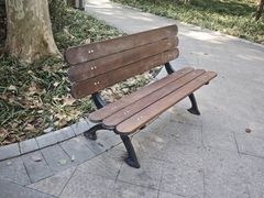 -徐家汇源景区-衡山公园