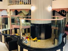 -亦芽亲子餐厅(万达广场店)