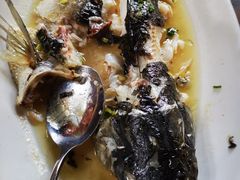 特色蒸吊水鲩鱼-园林美食城·本土农家菜(杨和镇店)