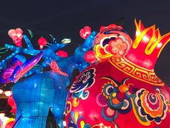-清真李唯一优质肉丸糊辣汤