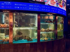 -1718海鲜姿造(苏宁宴请臻选店)