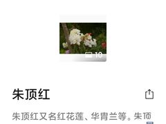 -默迹咖啡馆