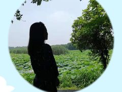 -荷塘月色湿地公园·向阳花洲