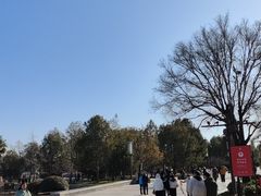 -大雁塔北广场音乐喷泉