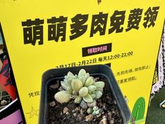 -南屏步行街