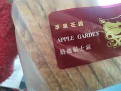 -苹果花园(桂林路店)