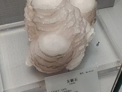 -湖南省地质博物馆