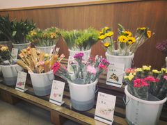 -鹿岛会员店 (龙湖三千集天街店)