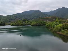 -龙坞茶村