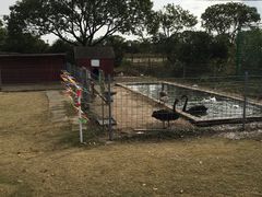 -上海长兴岛郊野公园