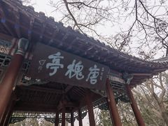 -千佛山风景名胜区