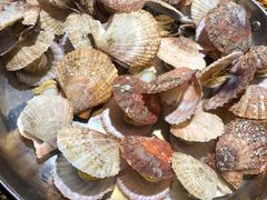 蒸扇贝-前海沿·青岛菜(大拇指广场石老人店)