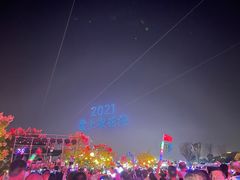 -荷兰花海