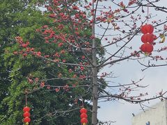 -陈李济中药博物馆