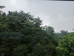 -点都德(广州白云山景区南门店)