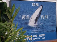 -红星美凯龙(山东全球家居1号店)